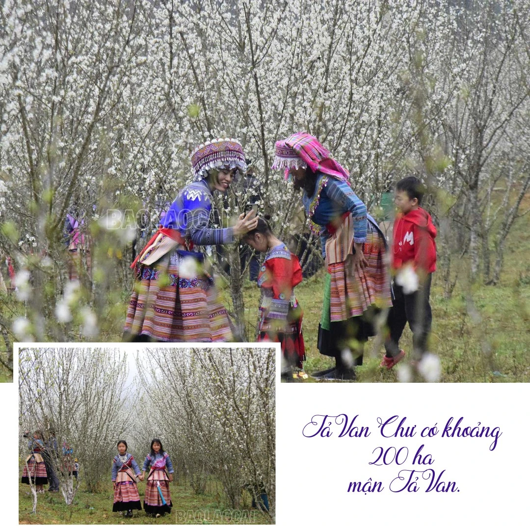 nhung-vuon-man-no-hoa-trang-muot-tro-thanh-diem-chup-anh-cho-du-khachzip-2.png