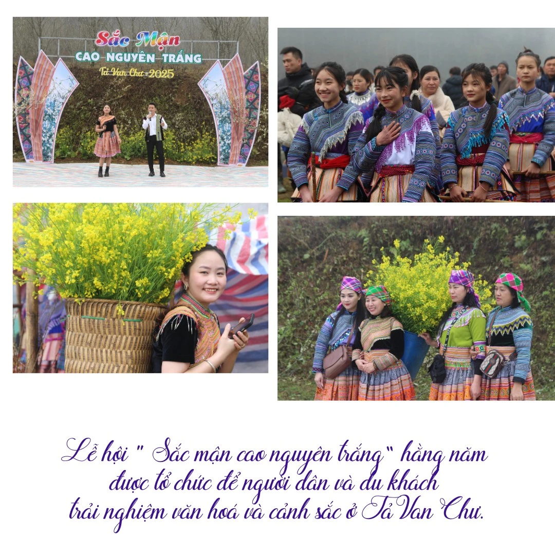 nhung-vuon-man-no-hoa-trang-muot-tro-thanh-diem-chup-anh-cho-du-khachzip-5.png