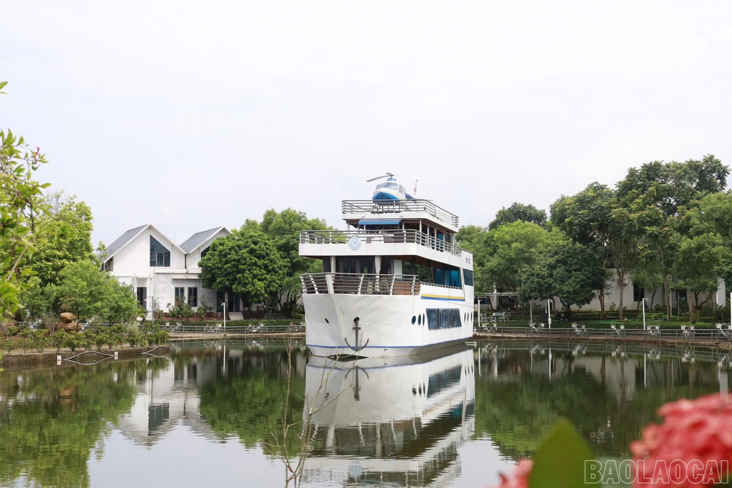 baolaocai-br_img-4949.jpg