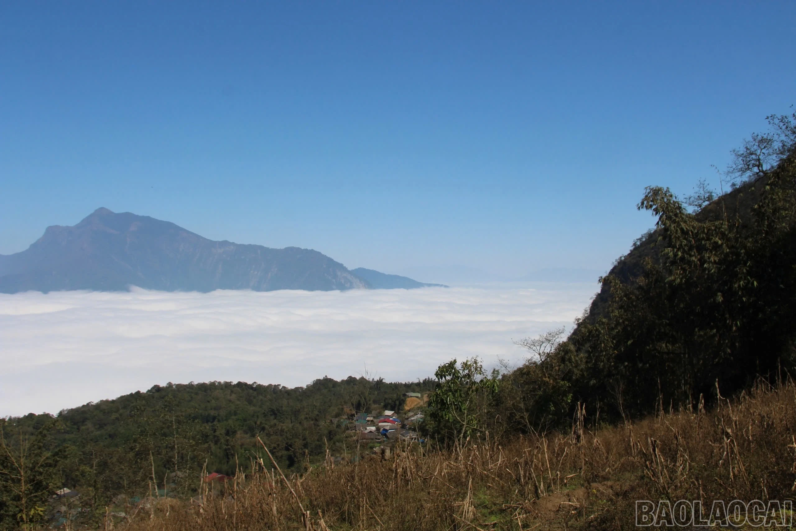 baolaocai-br_img-5019.jpg