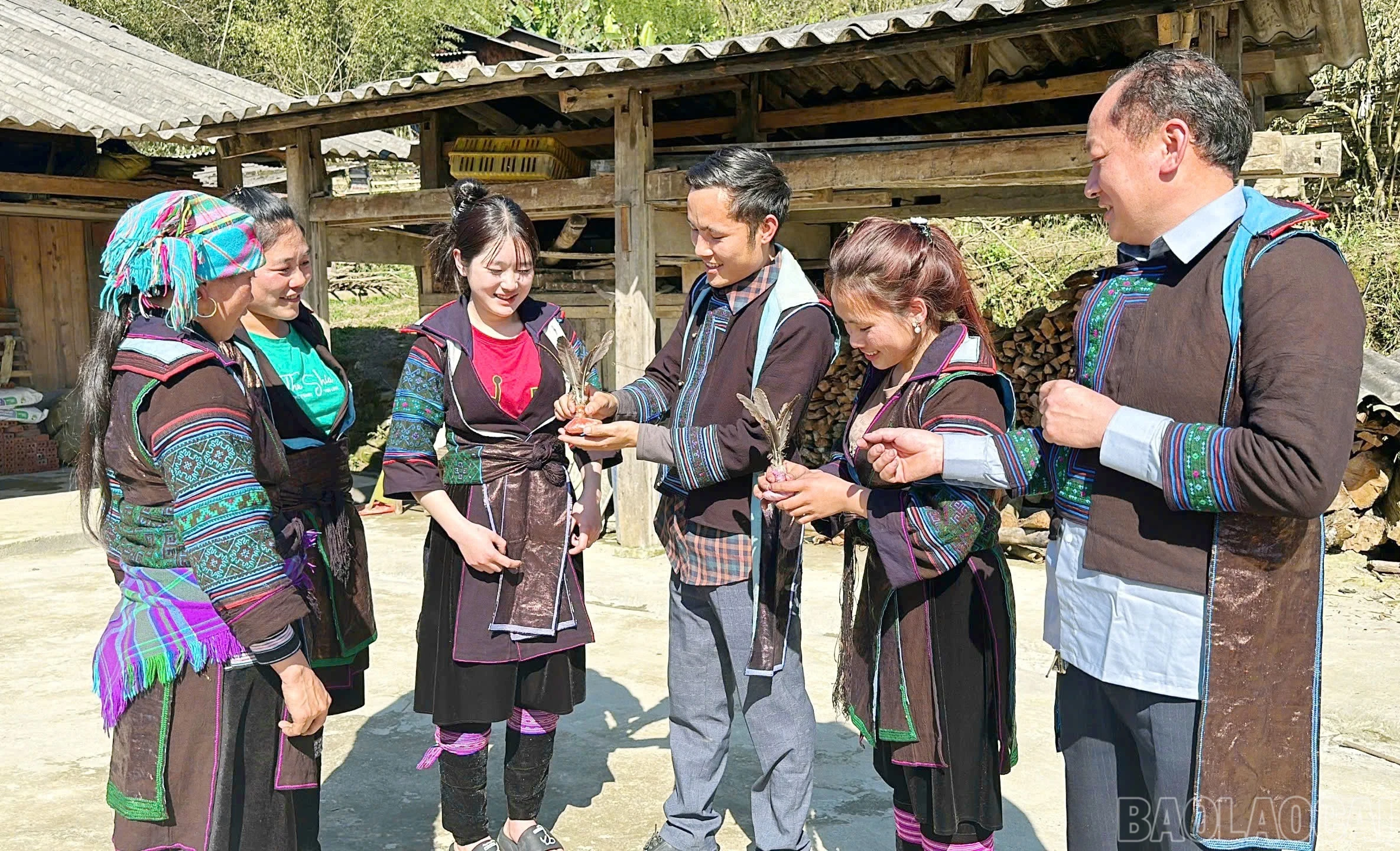 baolaocai-br_img-4982.jpg