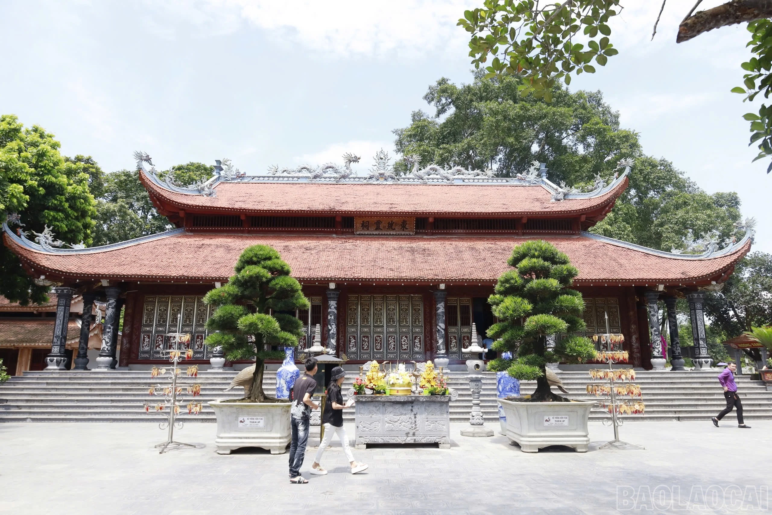 baolaocai-br_img-4962.jpg