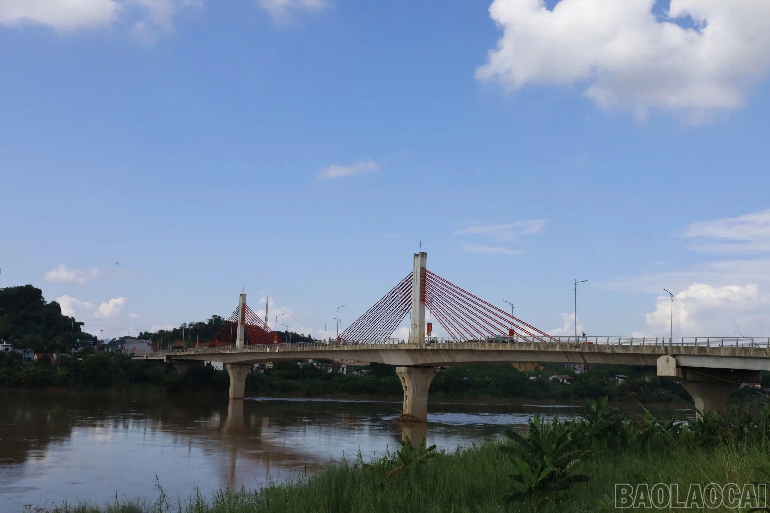baolaocai-br_img-4943.jpg