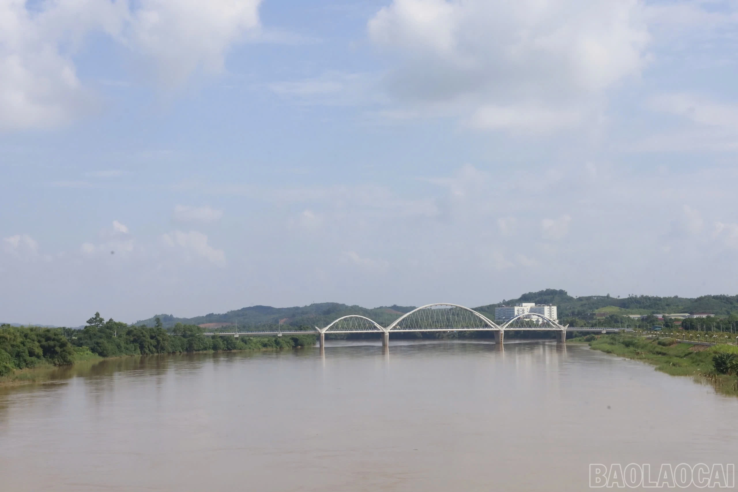 baolaocai-br_img-4937.jpg