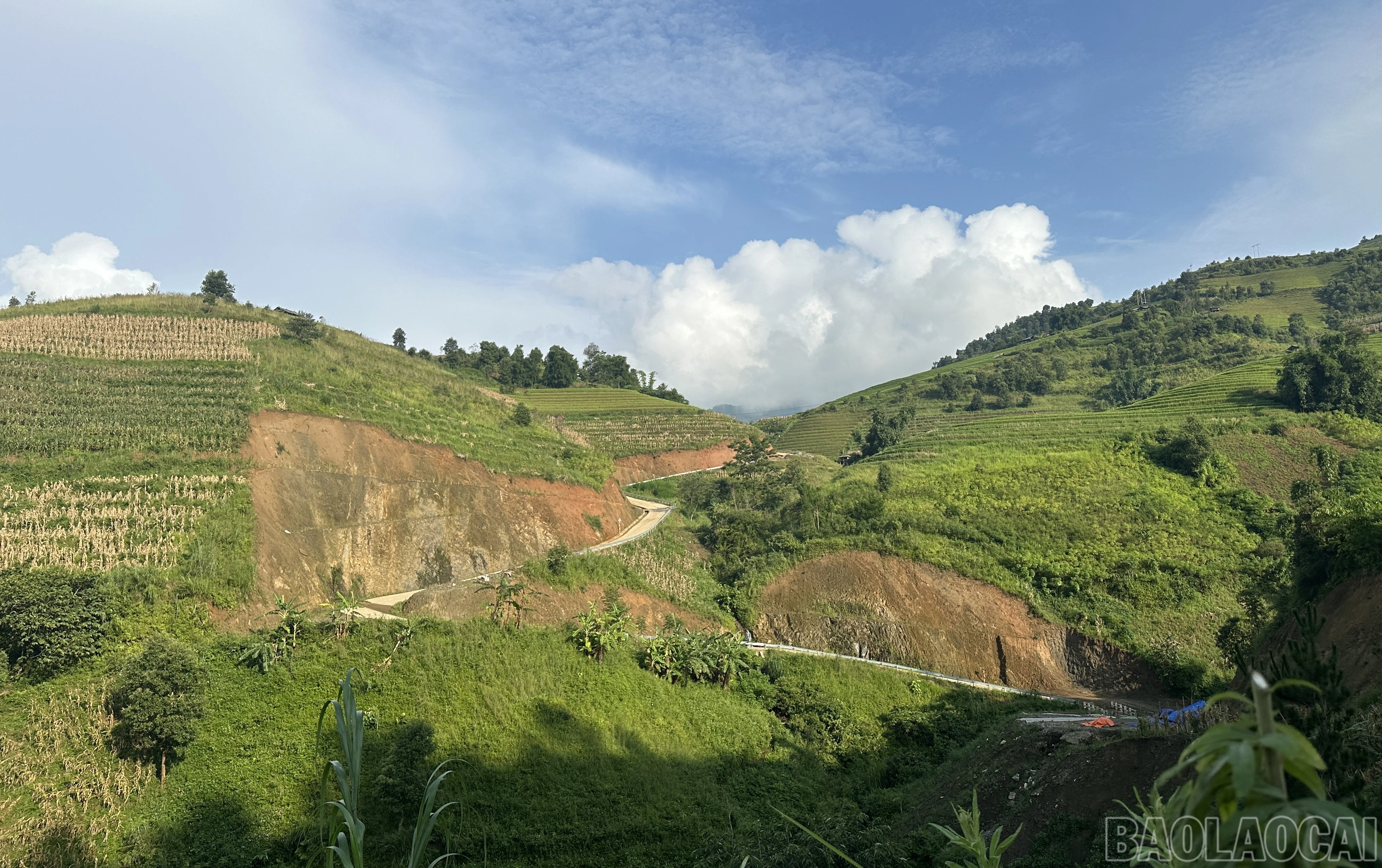 baolaocai-br_3-1747.jpg