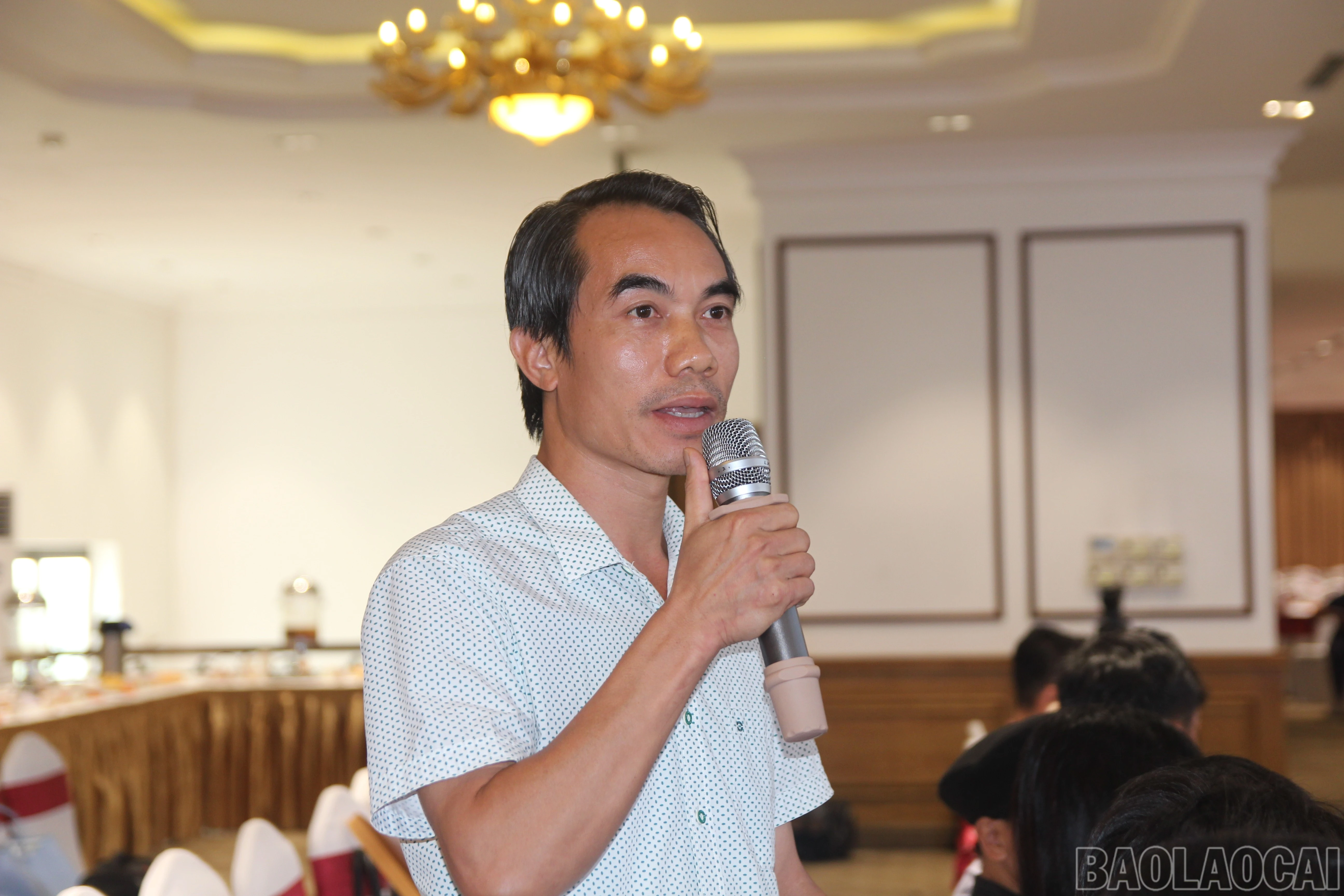 baolaocai-br_9.jpg