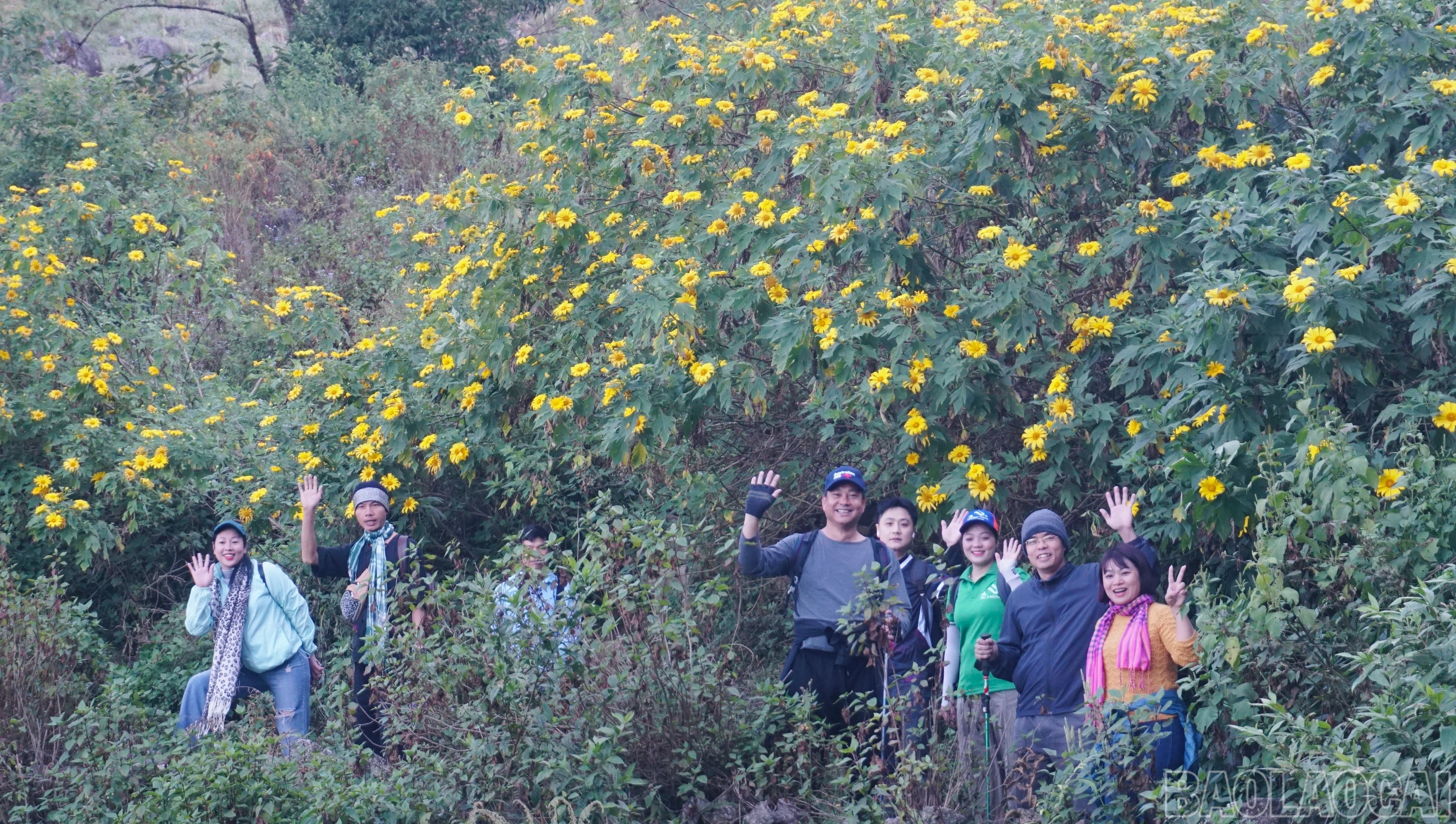 baolaocai-br_img-5692.jpg