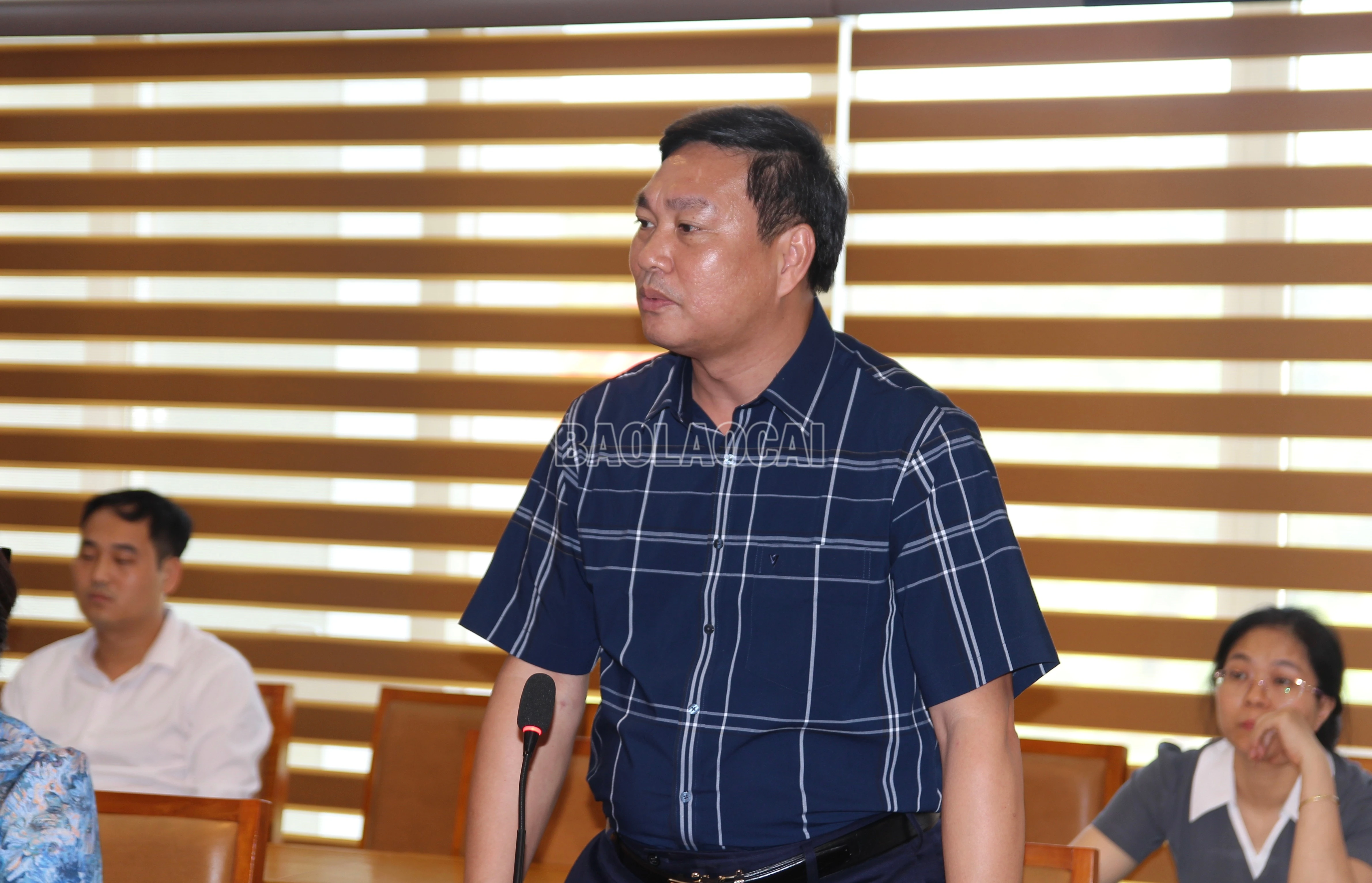 baolaocai-c_img-1410.jpg