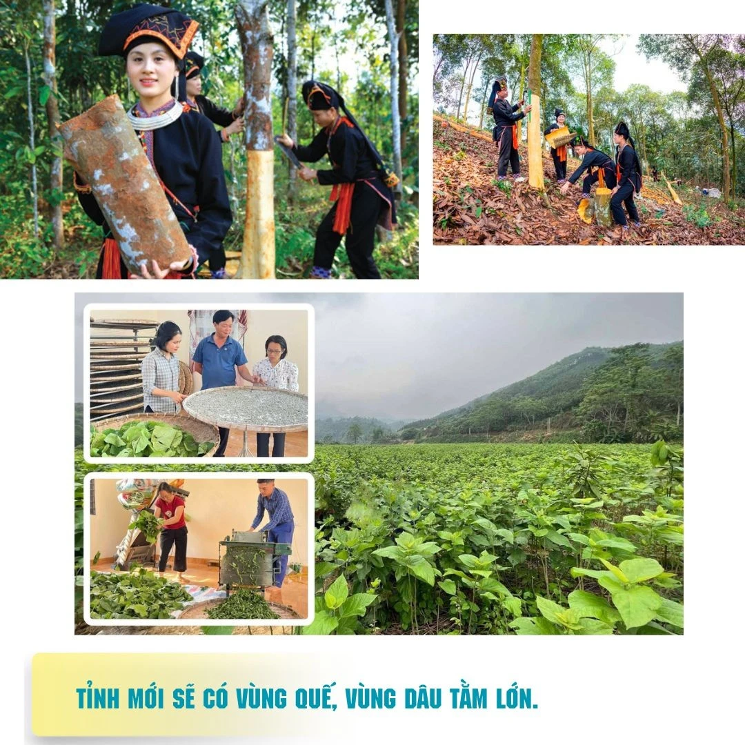 yen-bai-va-lao-cai-la-vung-dat-lien-ke-ve-dia-lyzip-16.jpg