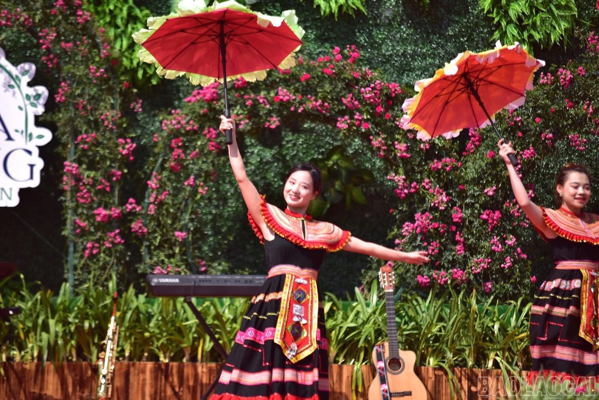 baolaocai-br_img-6319.jpg