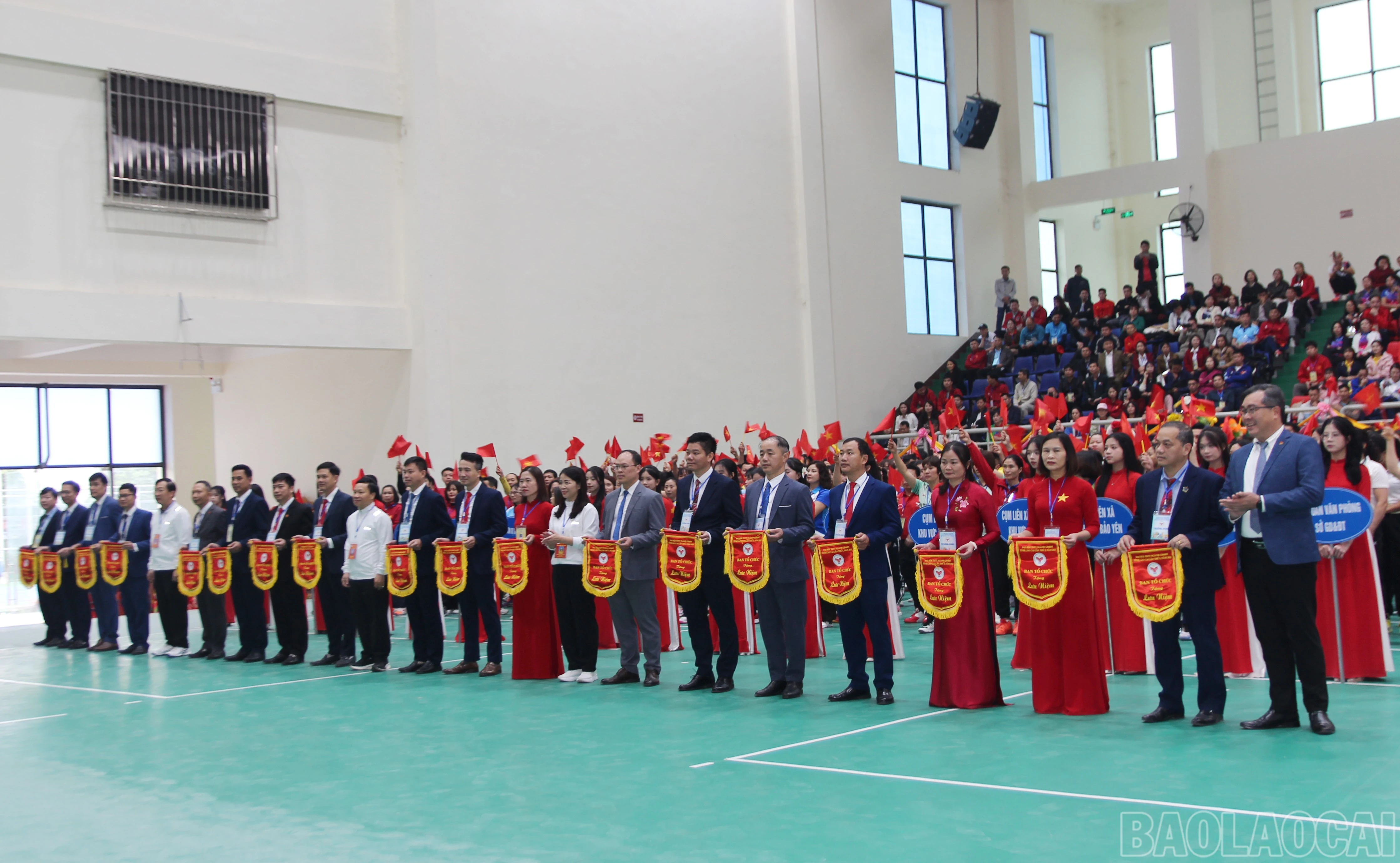 baolaocai-br_6.jpg
