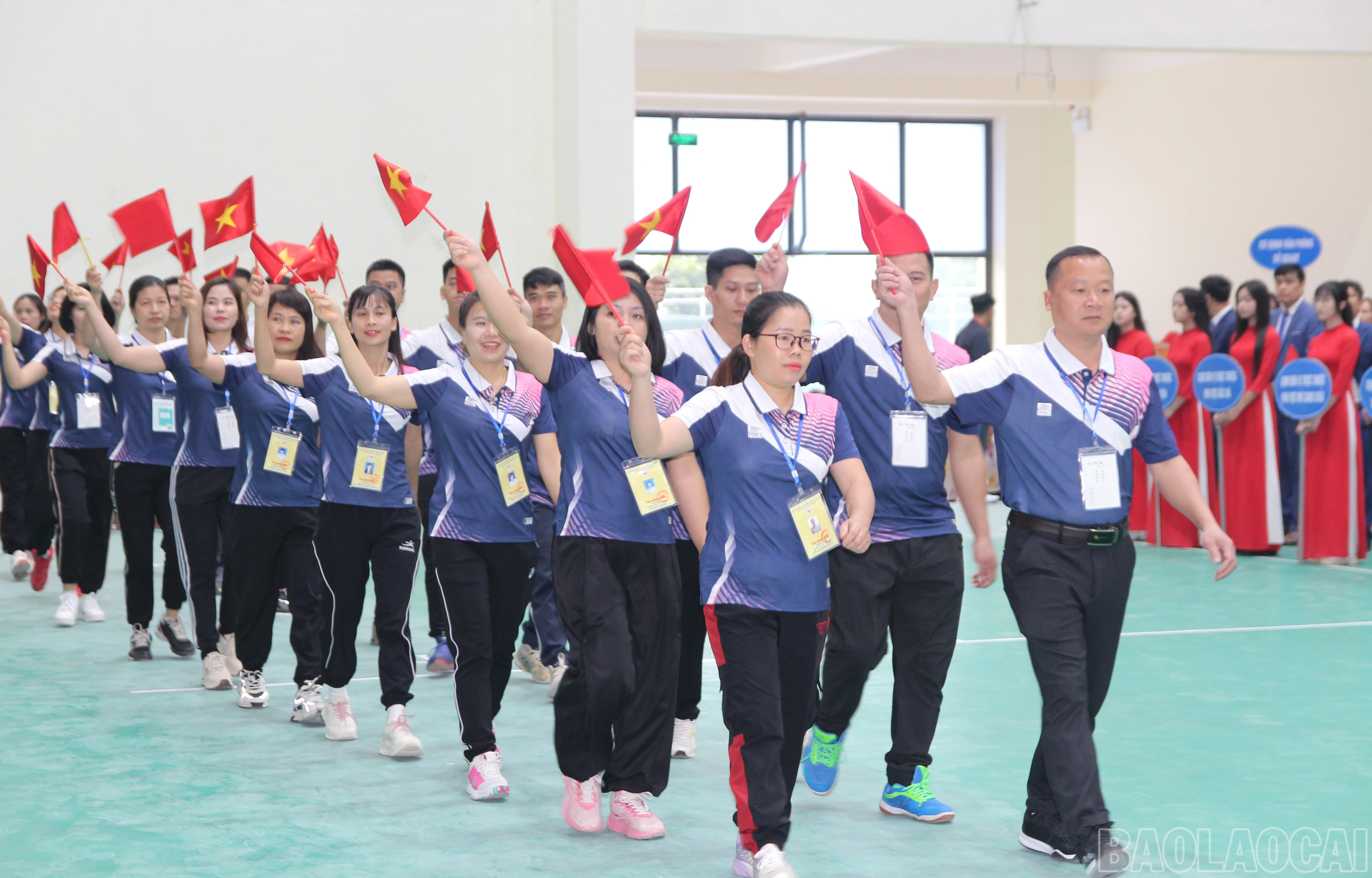 baolaocai-br_11.jpg