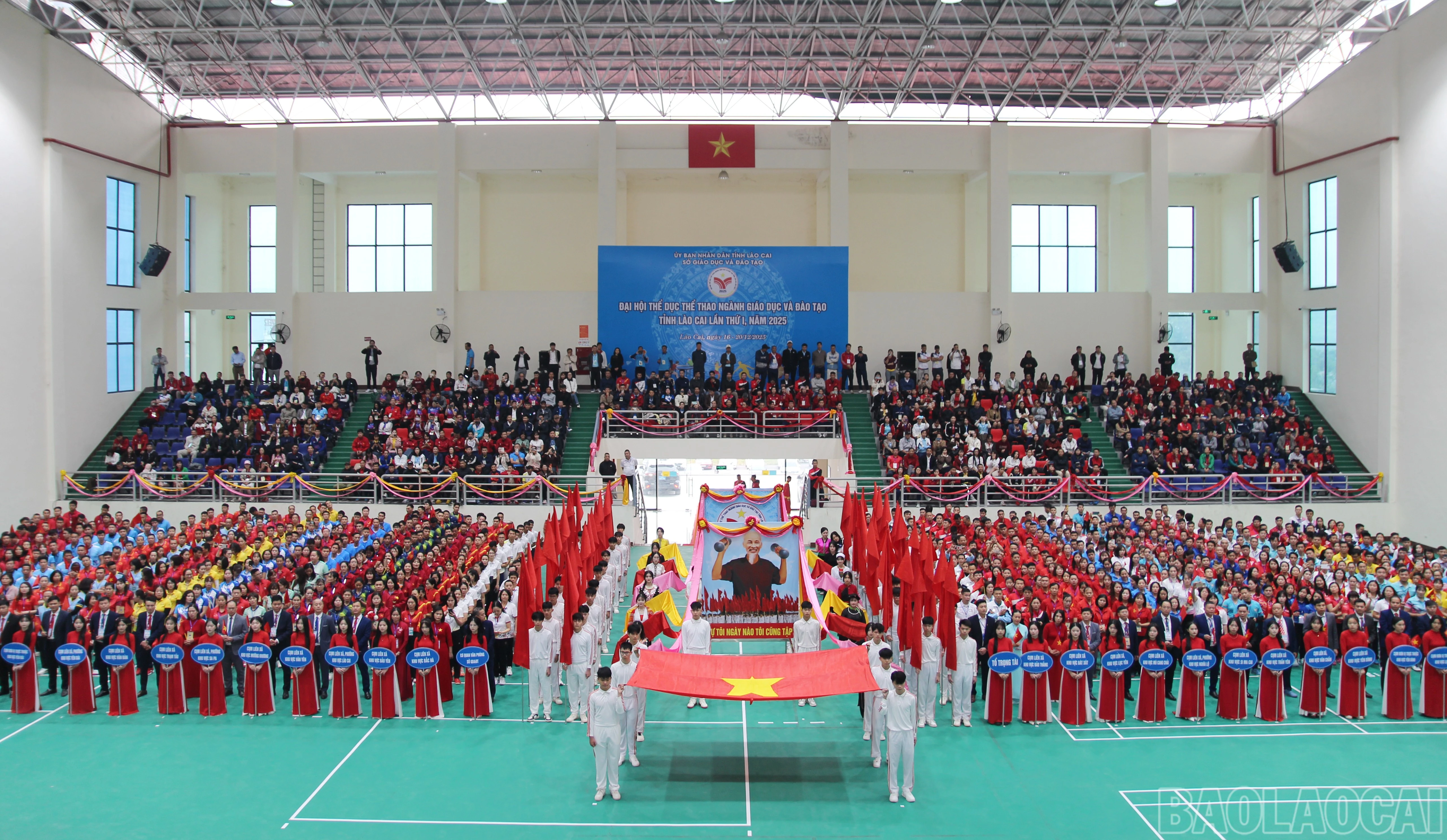 baolaocai-br_1.jpg