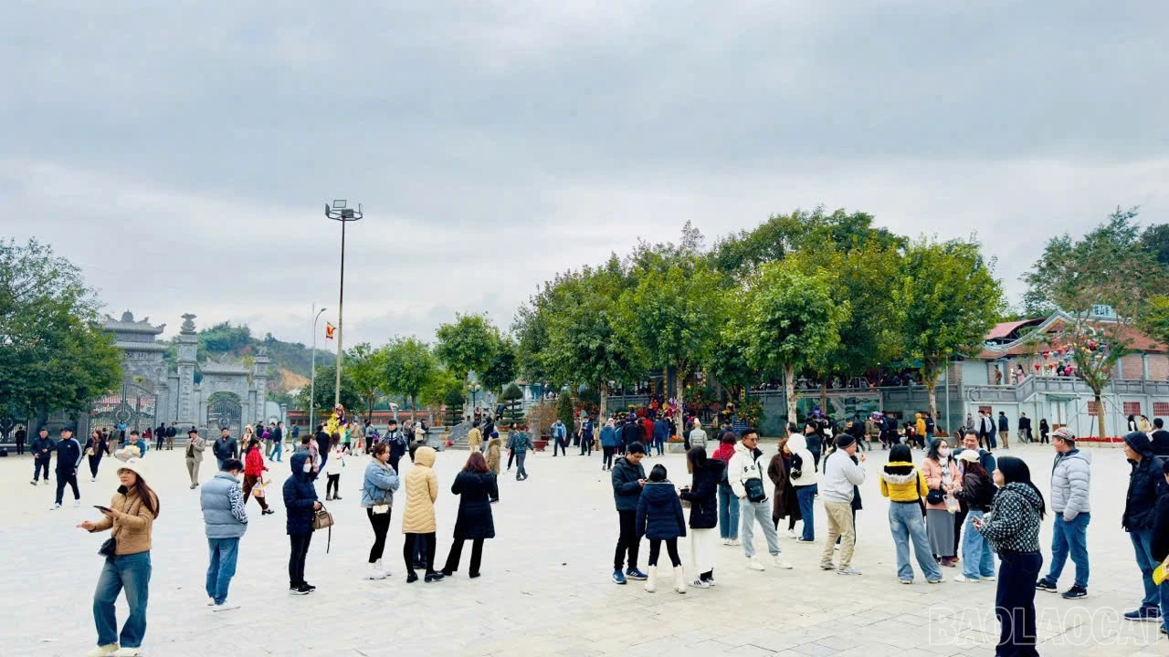 baolaocai-br_img-8764.jpg