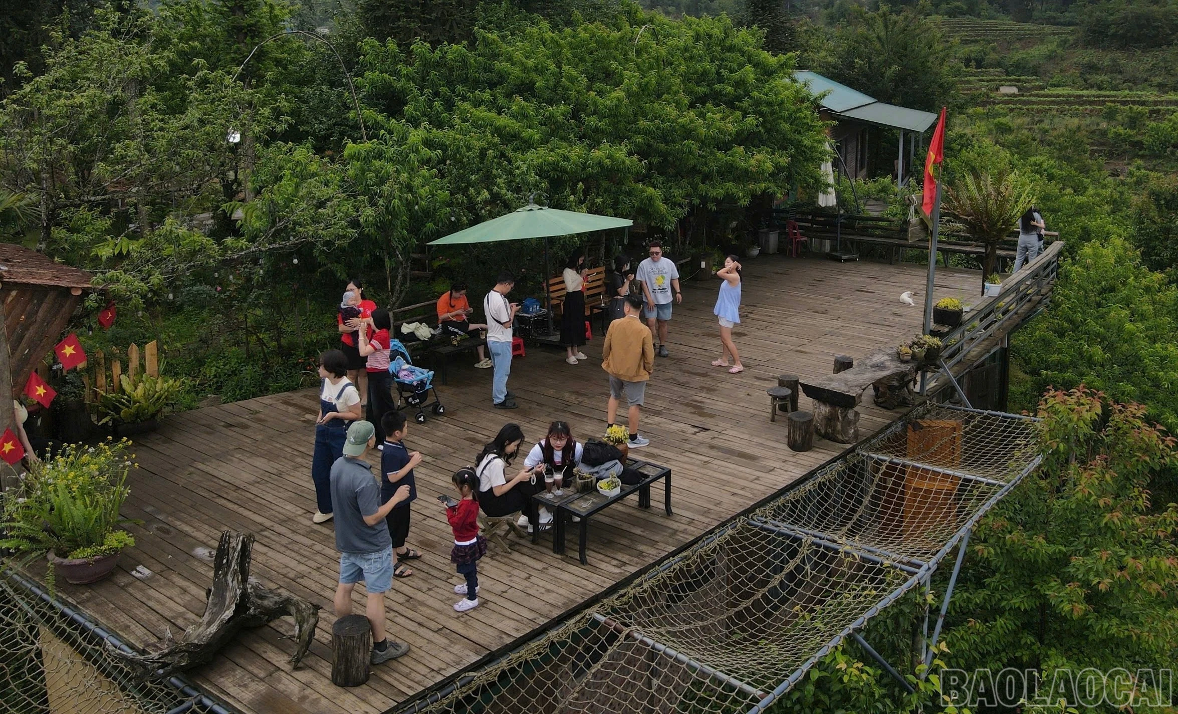 baolaocai-br_img-7468.jpg