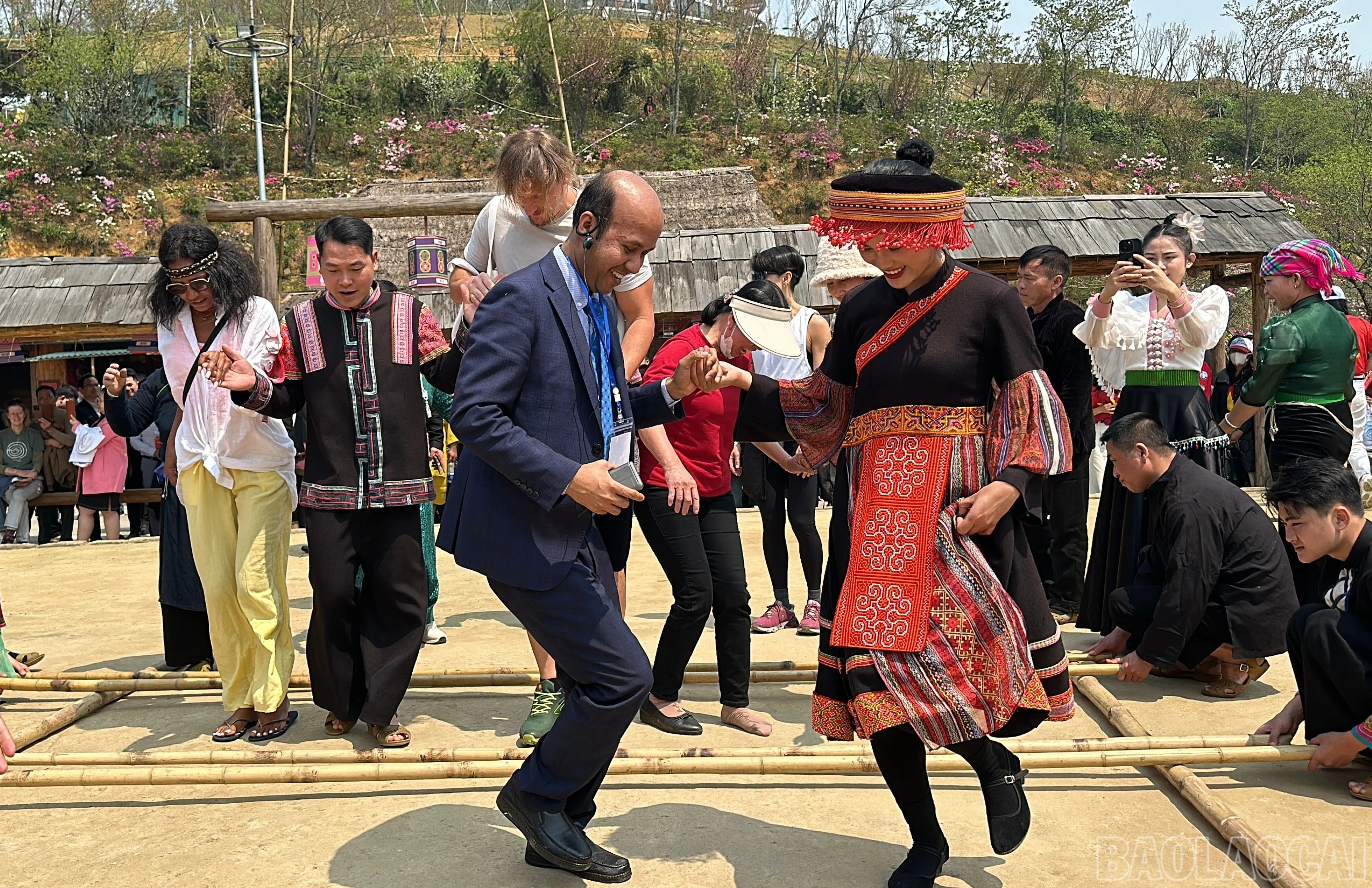 baolaocai-br_img-4359.jpg