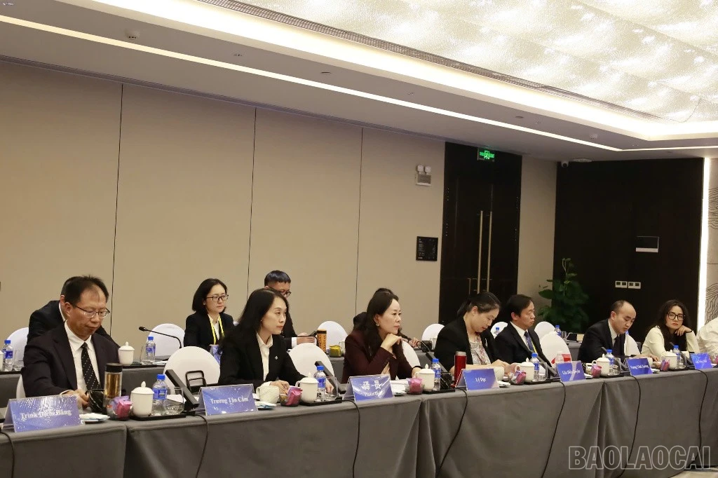 baolaocai-br_img-6086.jpg