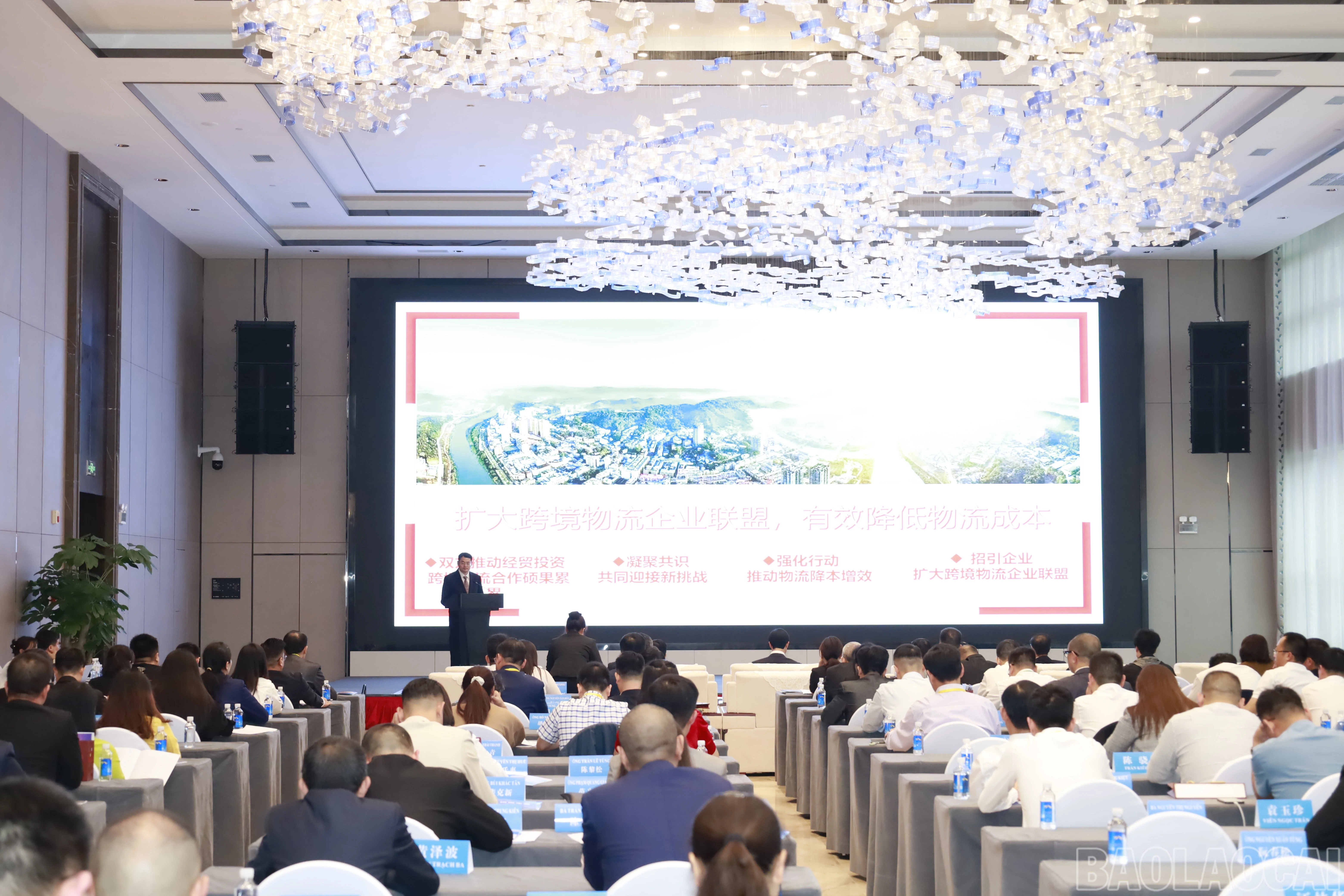 baolaocai-br_img-6091.jpg