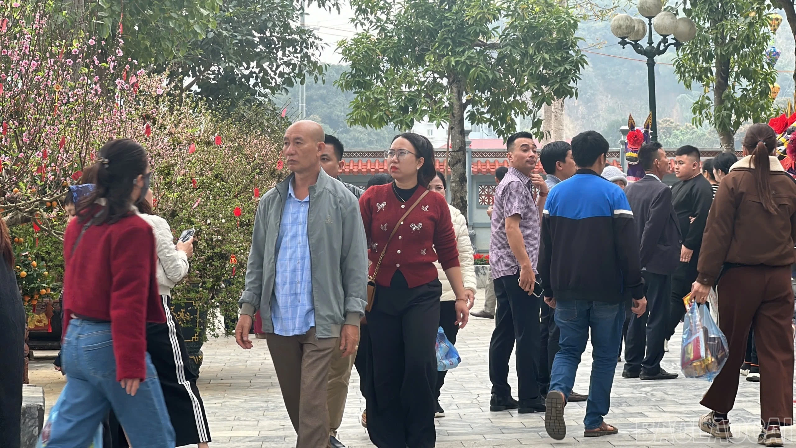 baolaocai-br_img-2926.jpg