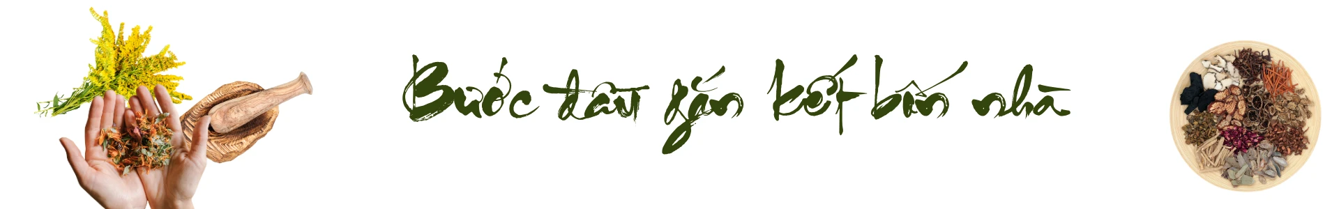 39.png
