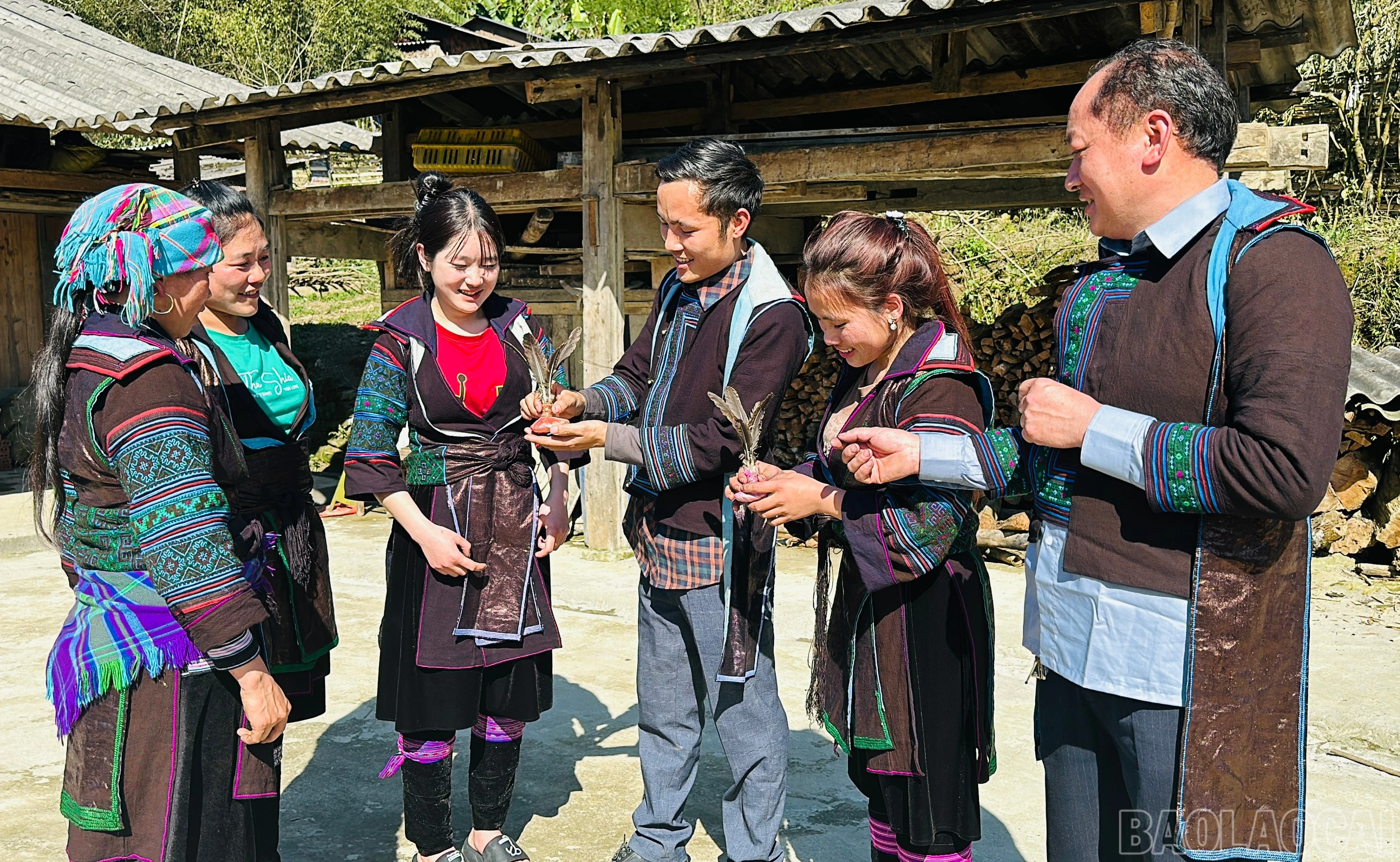 baolaocai-br_img-3246.jpg
