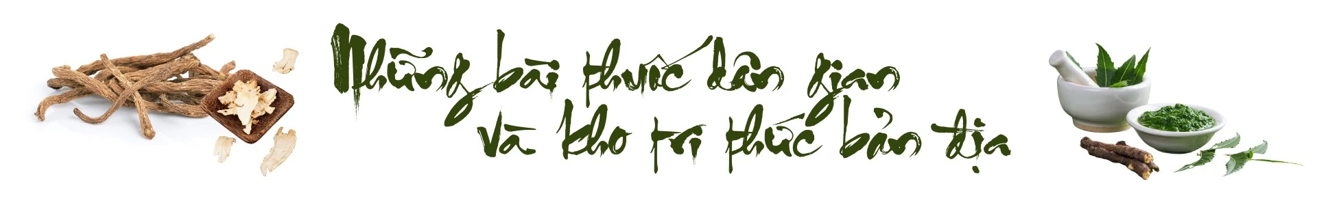 de-lao-cai-tro-thanh-trung-tam-duoc-lieu-quoc-gia1.png