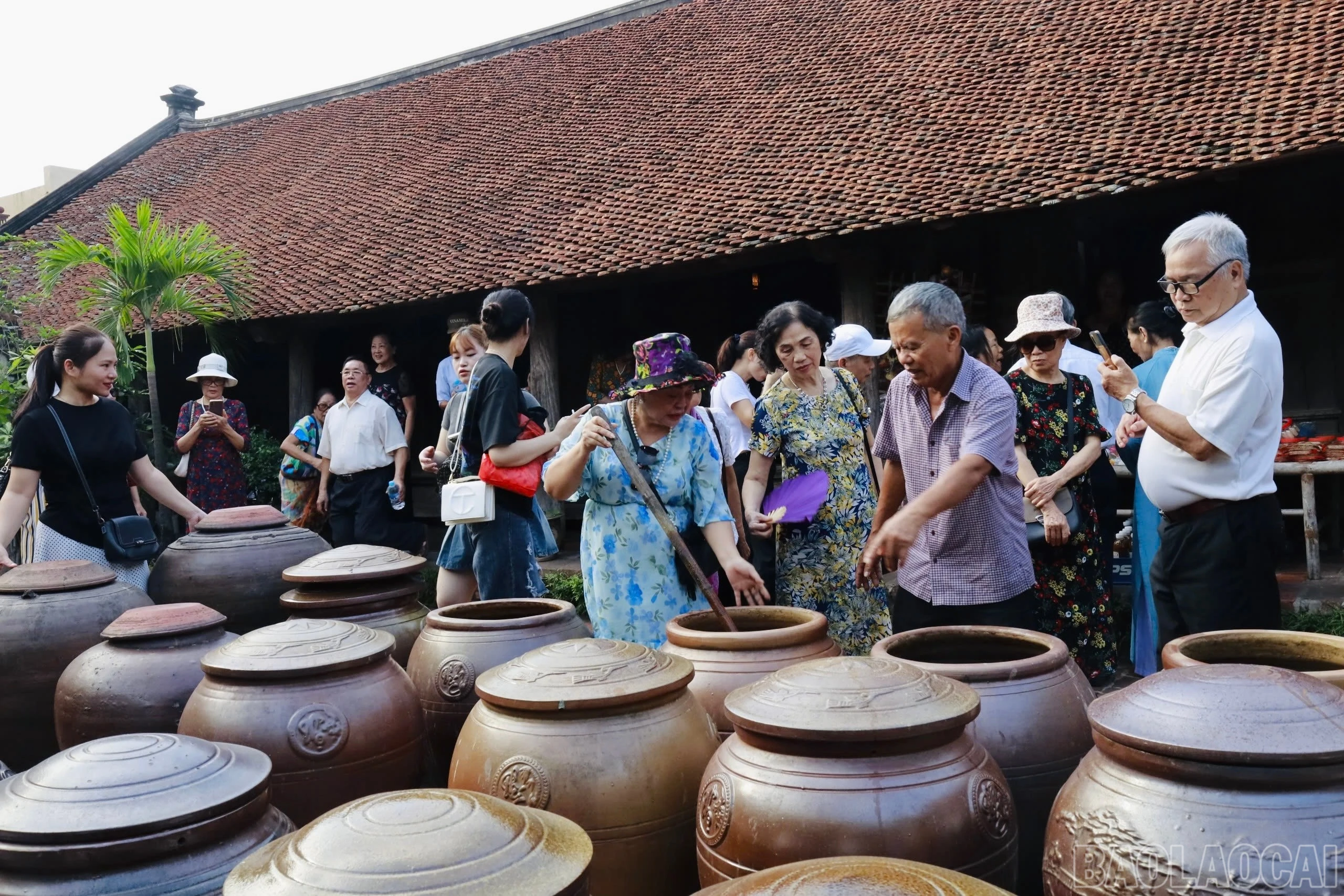 baolaocai-br_img-4684.jpg
