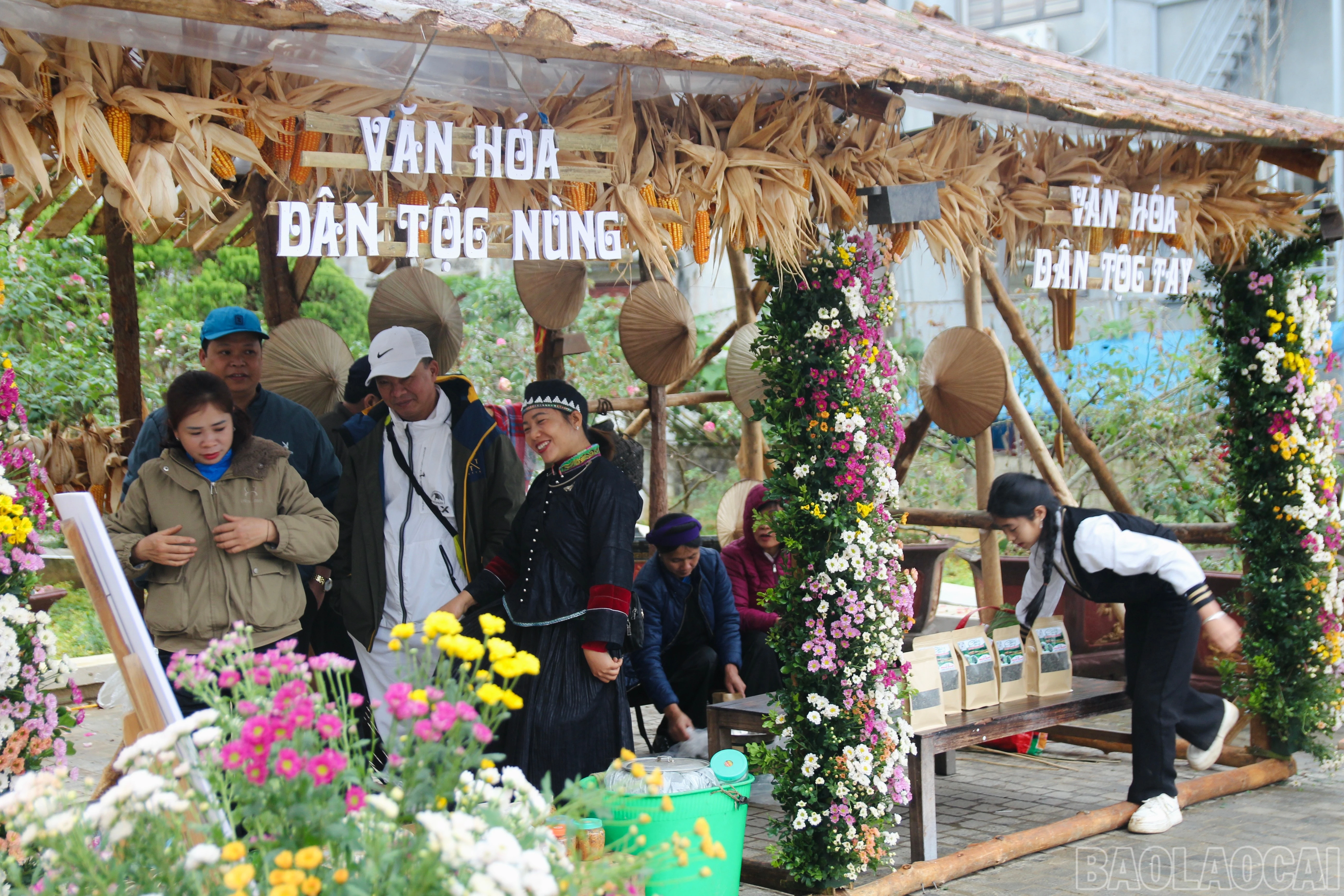 baolaocai-br_img-8043.jpg