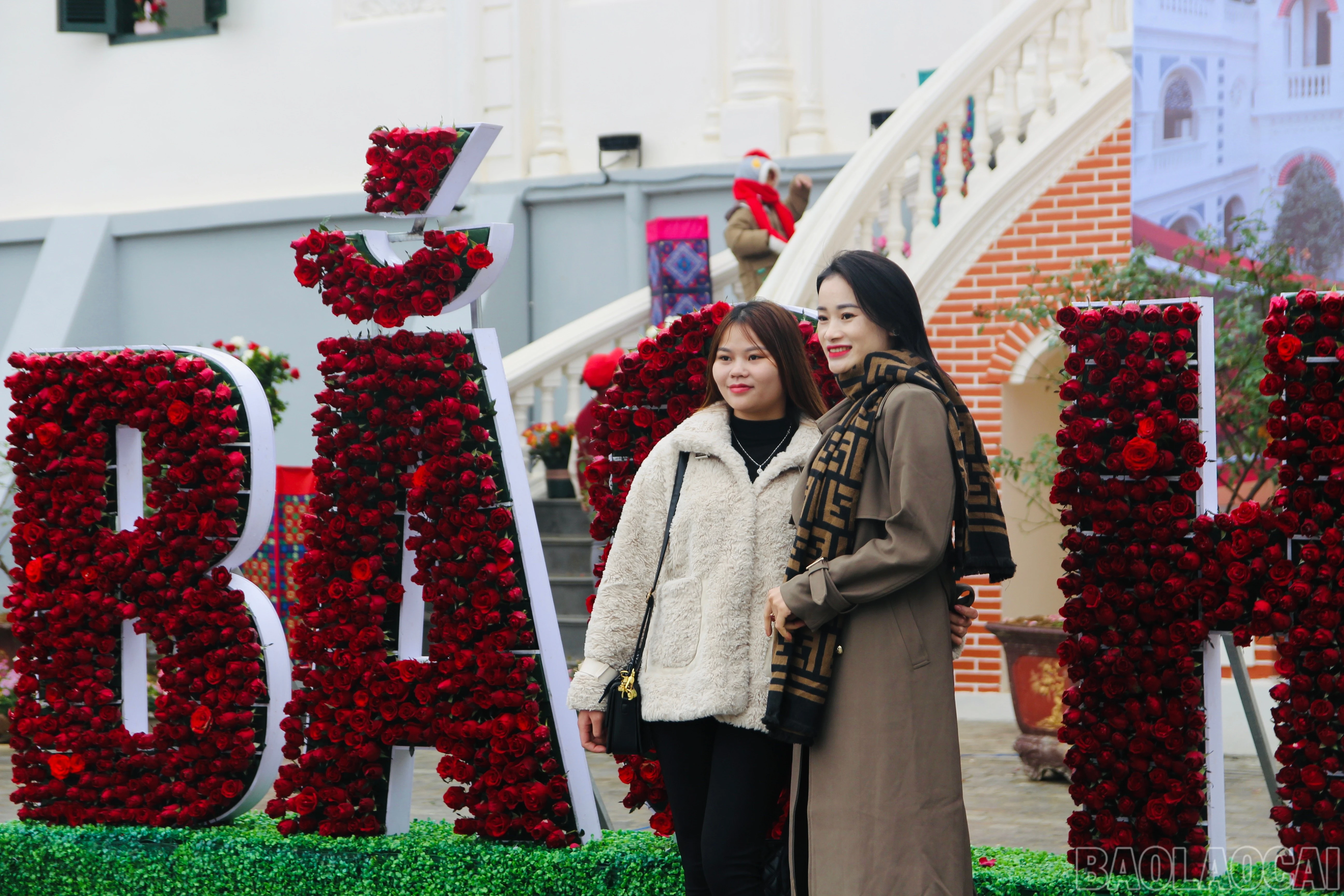 baolaocai-br_img-8054.jpg