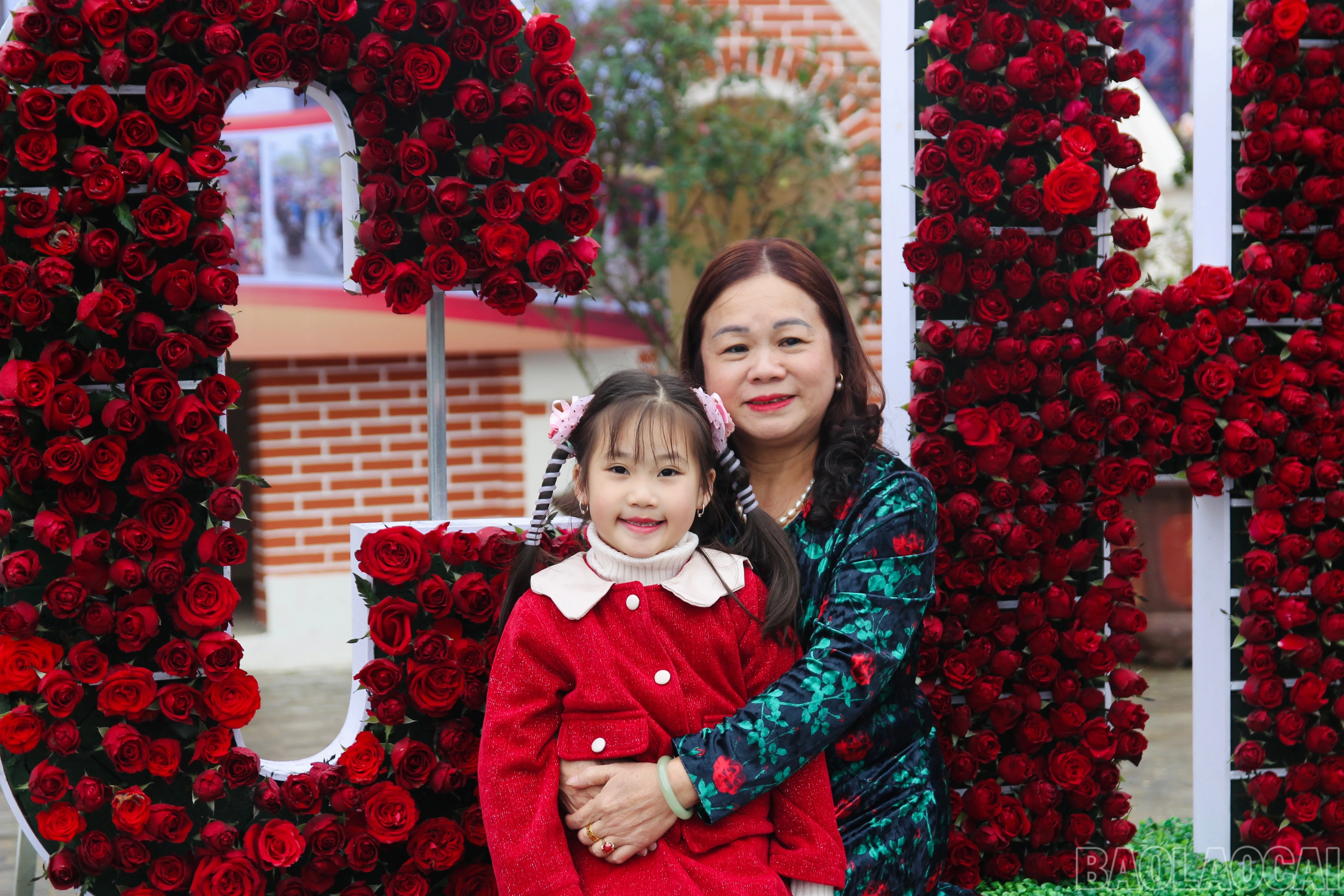 baolaocai-br_img-8070.jpg