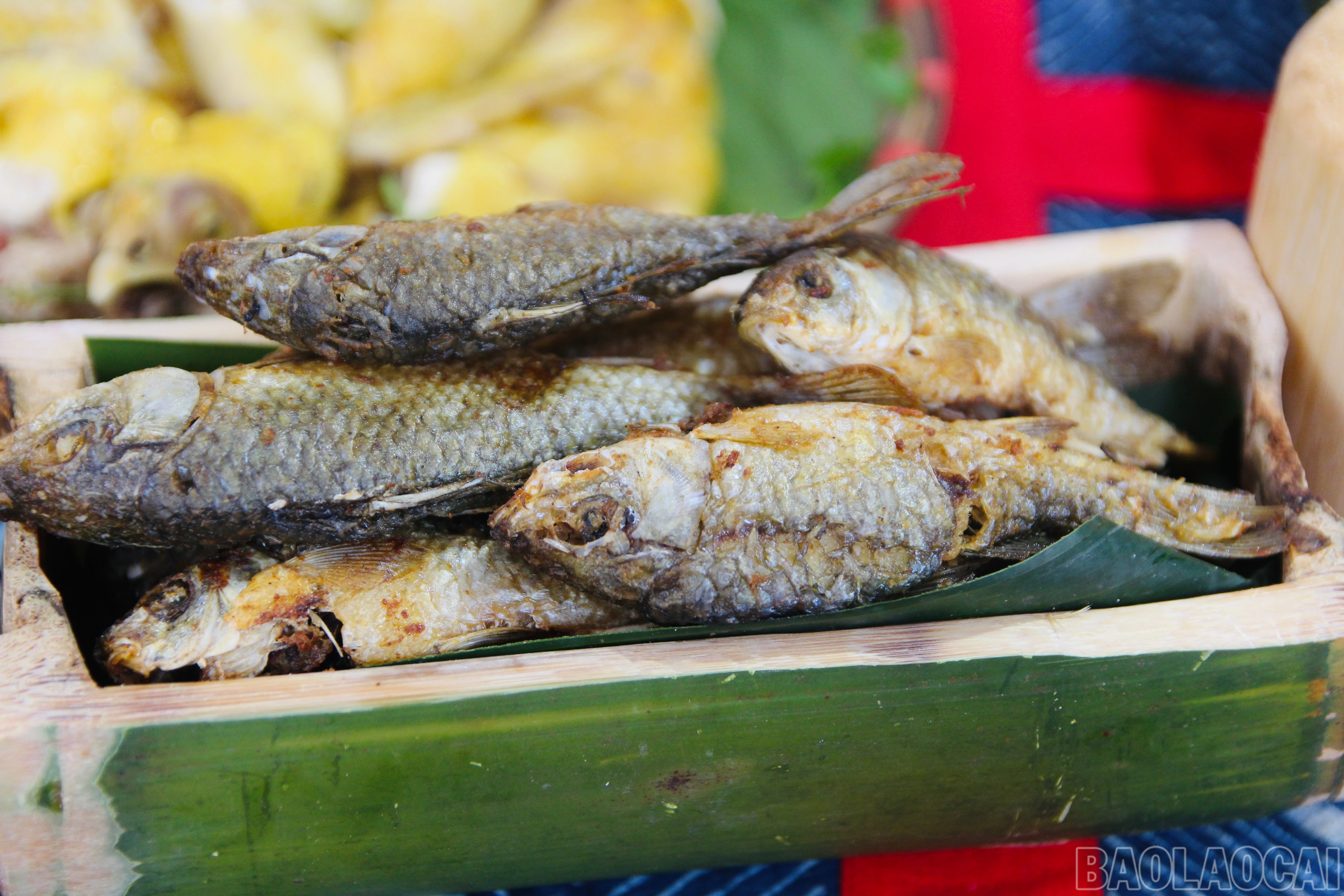 baolaocai-br_img-8086.jpg