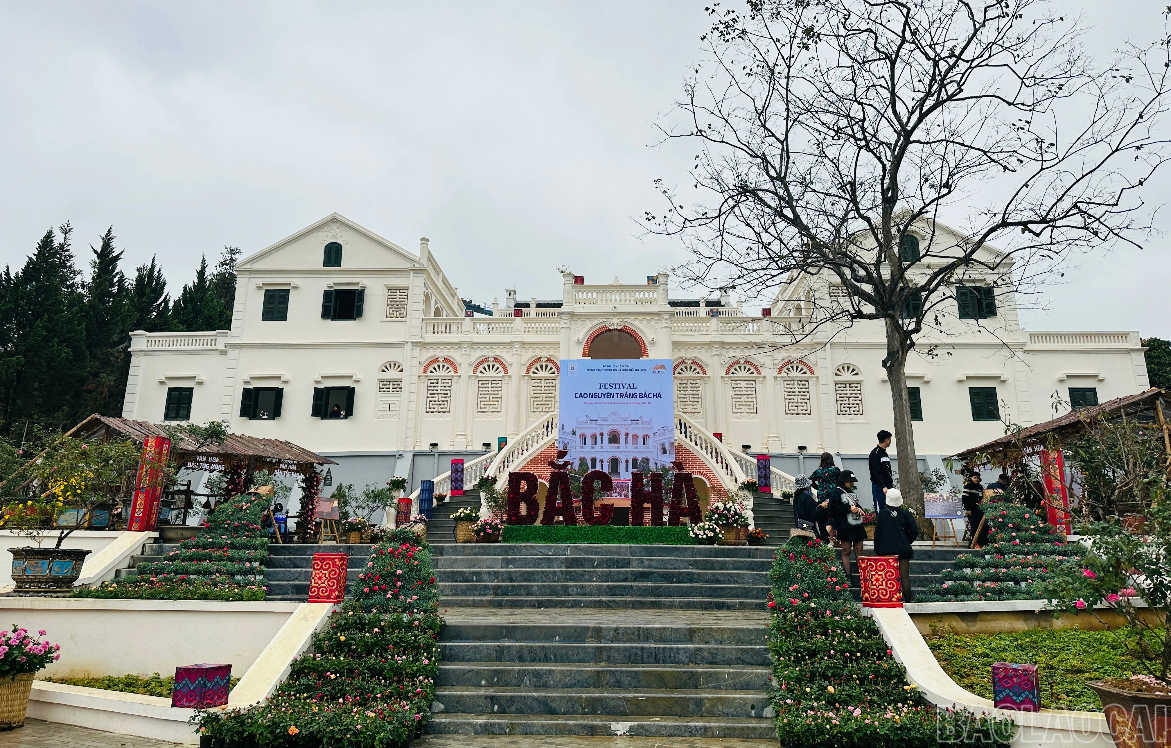 baolaocai-br_img-7372.jpg