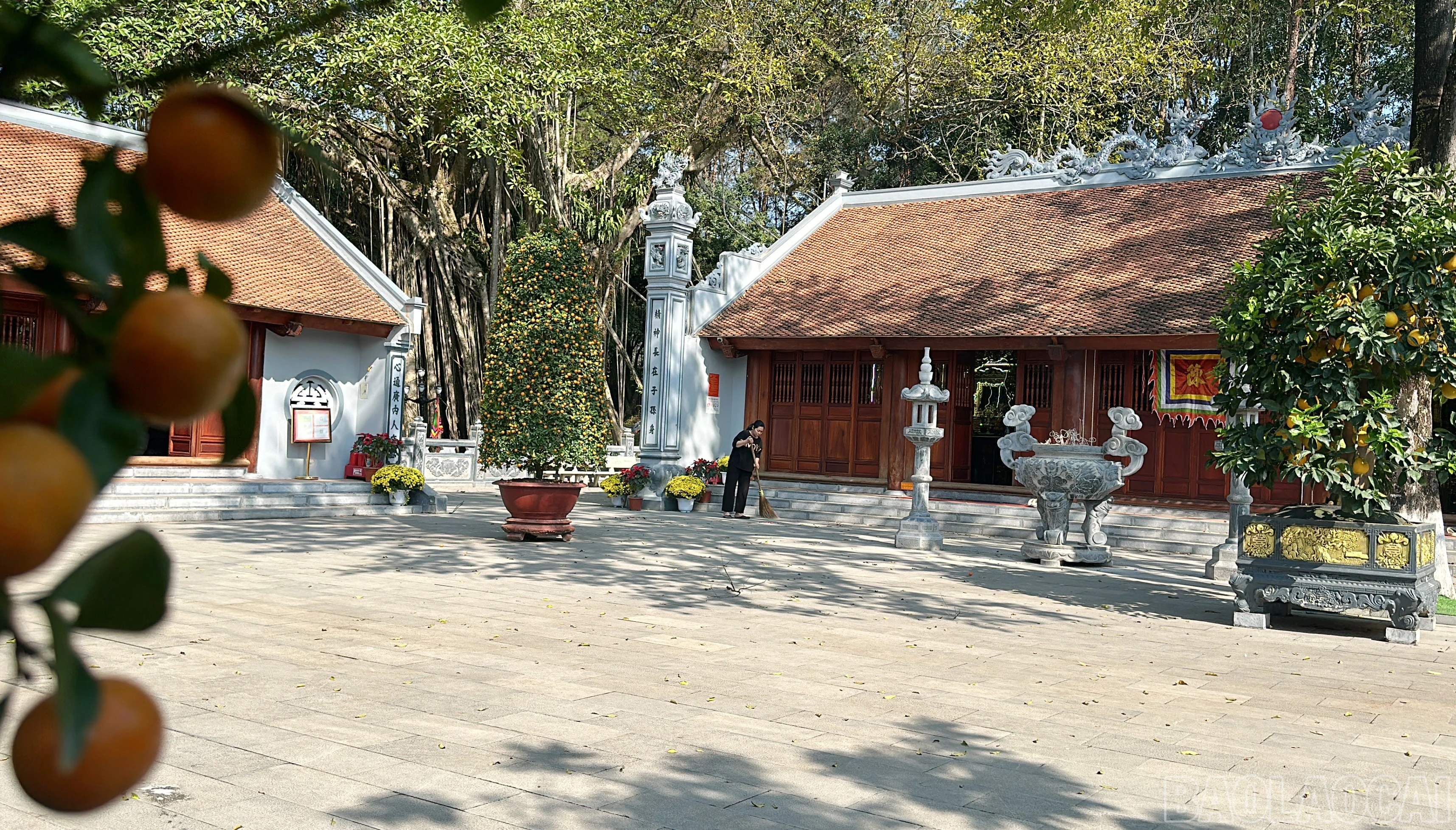 baolaocai-br_11.jpg