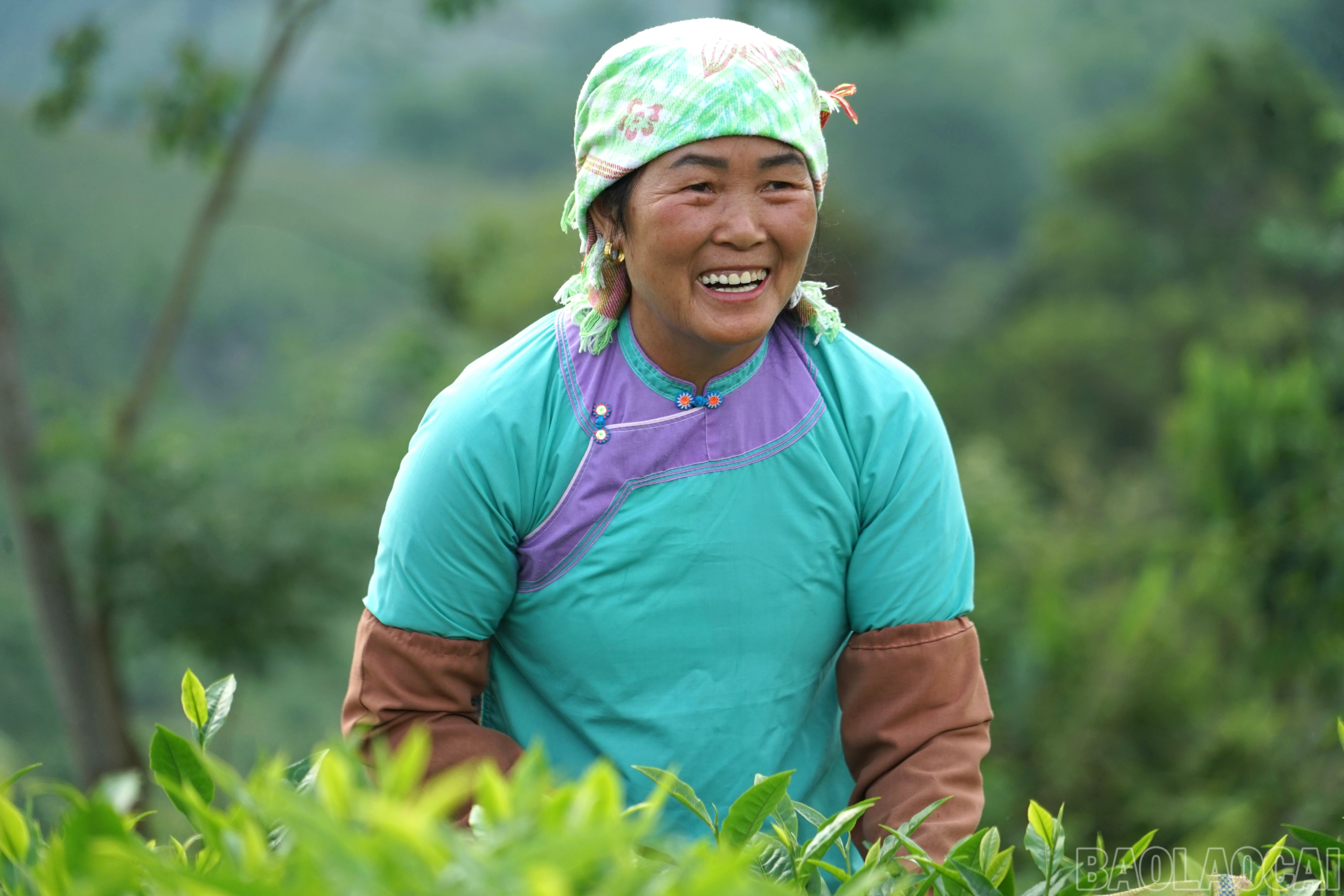 baolaocai-br_img-8344.jpg
