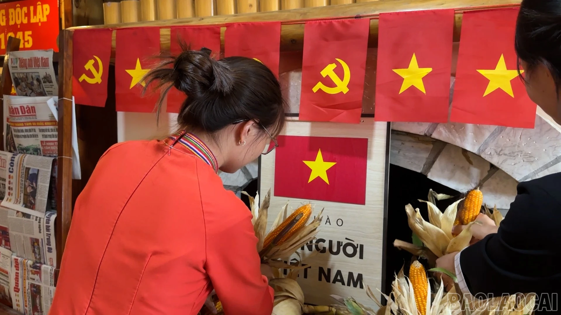 baolaocai-br_2.jpg