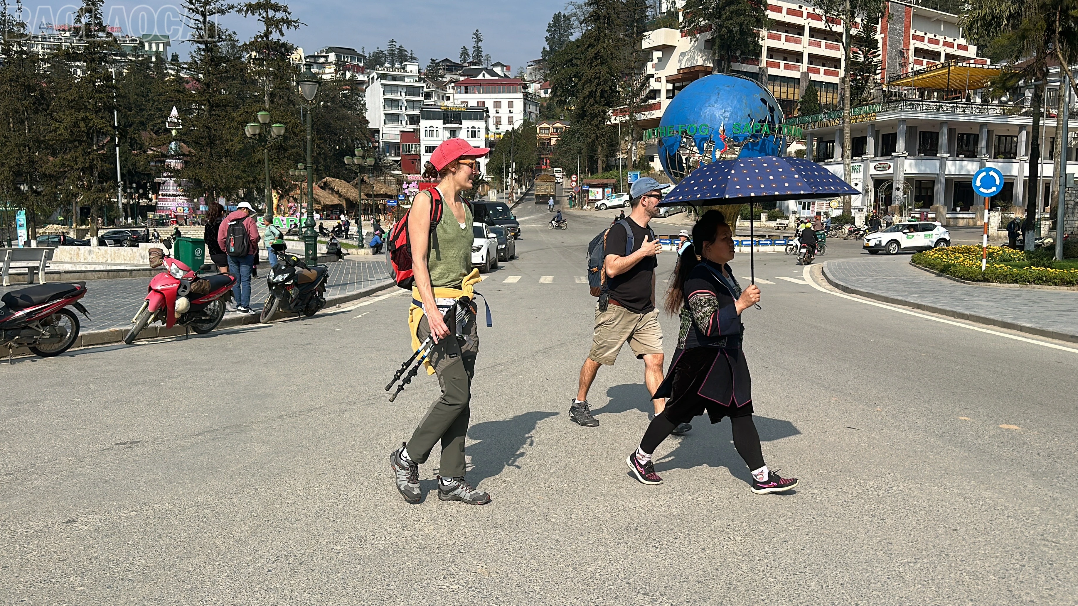 baolaocai-tl_img-3863.jpg