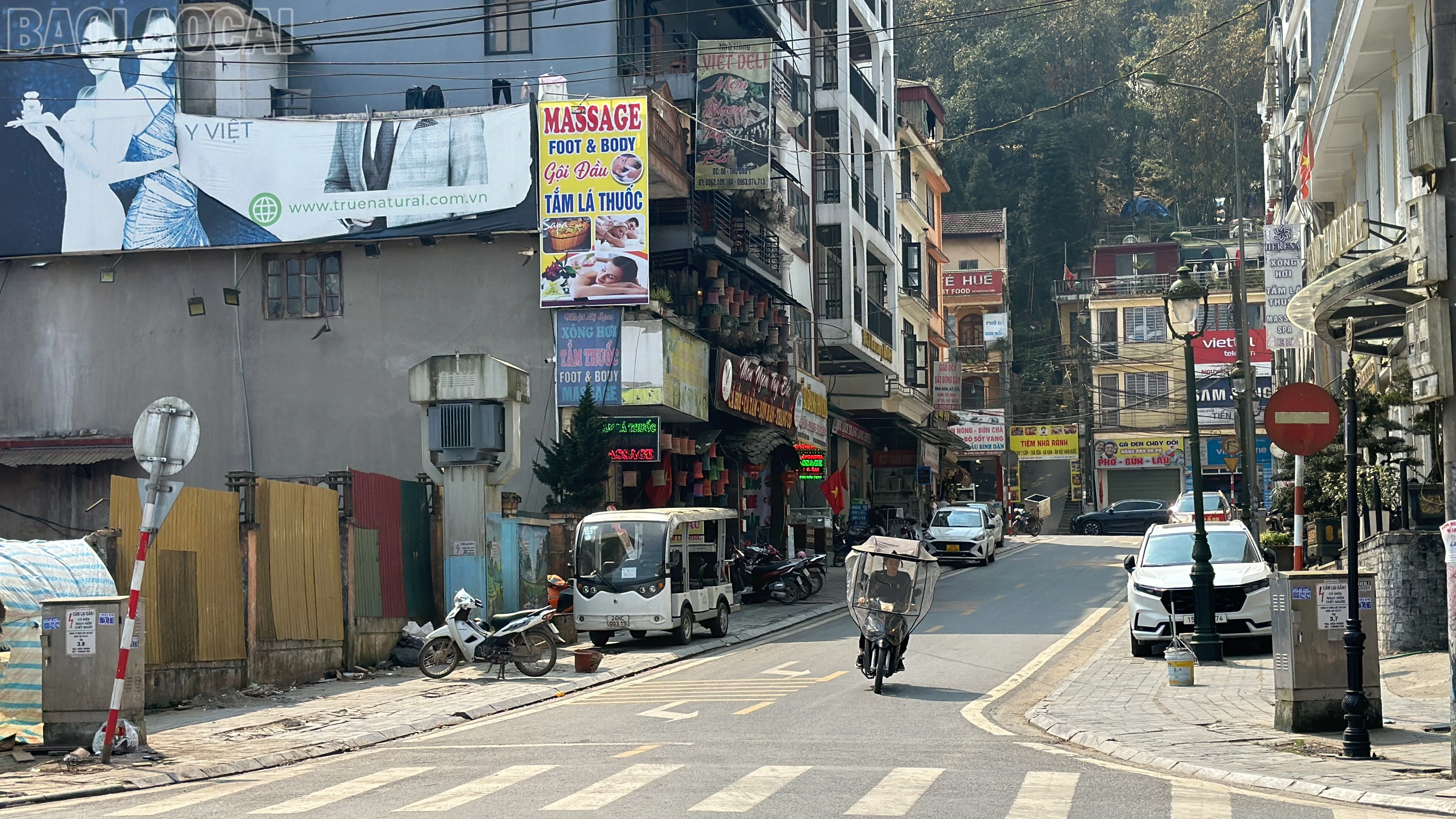 baolaocai-tl_img-3872.jpg