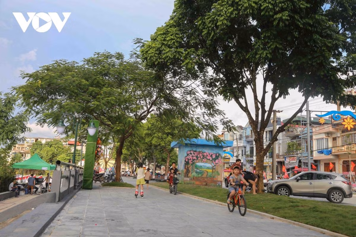 Đây là khu vực cây xanh rợp mát, thích hợp cho hoạt động vui chơi, giải trí.