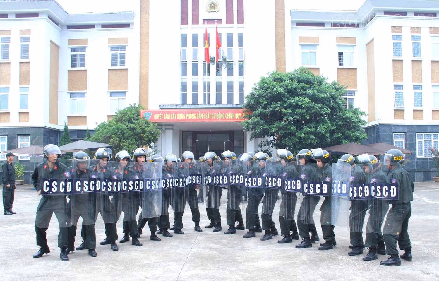 c2.jpg