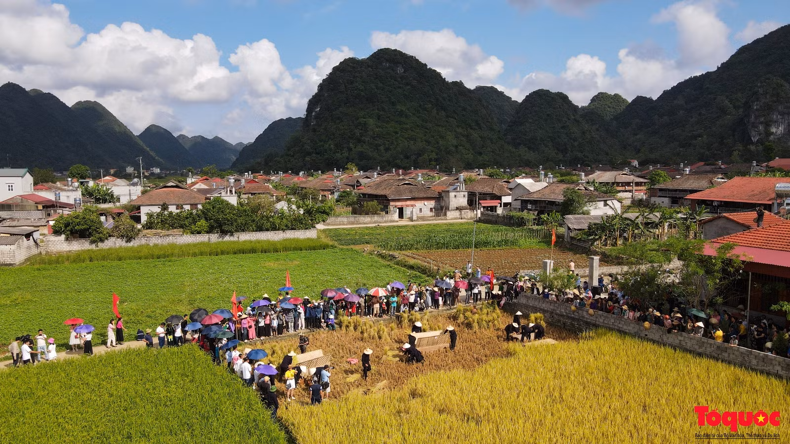 Đến huyện Bắc Sơn mùa thu, du khách có dịp hòa mình vào lễ hội gặt lúa cùng đồng bào người Tày, Dao. Phần thi có ba đội tham gia, mỗi đội có 4 thành viên đến từ các xã Bắc Quỳnh, Hưng Vũ và Long Đống.