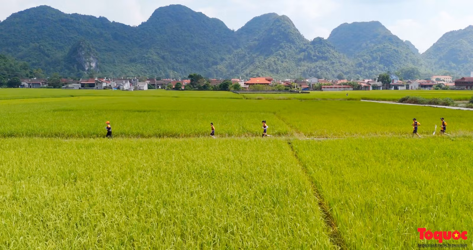 Khách du lịch tham gia giải chạy Mùa vàng Bắc Sơn Ultra Trail năm 2024 - hoạt động trong Lễ hội "Mùa vàng Bắc Sơn" năm 2024