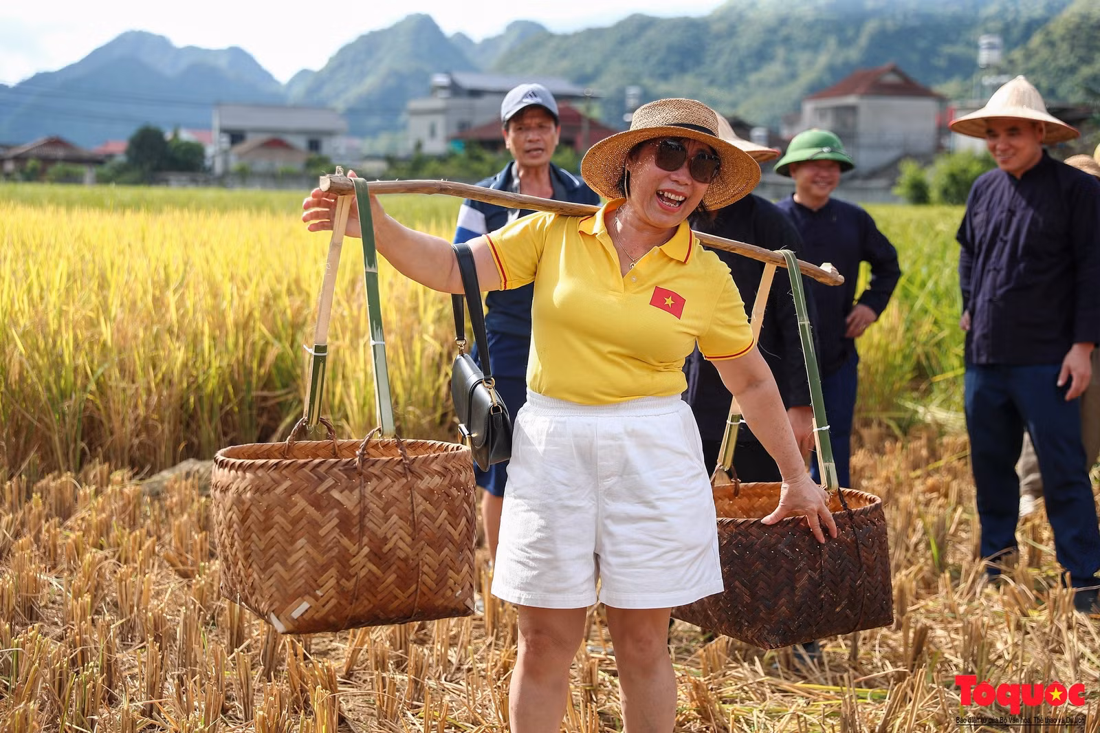 Khách du lịch và nhân dân tham gia, trải nghiệm gặt lúa bằng công cụ thô sơ trên cách đồng xã Bắc Quỳnh.