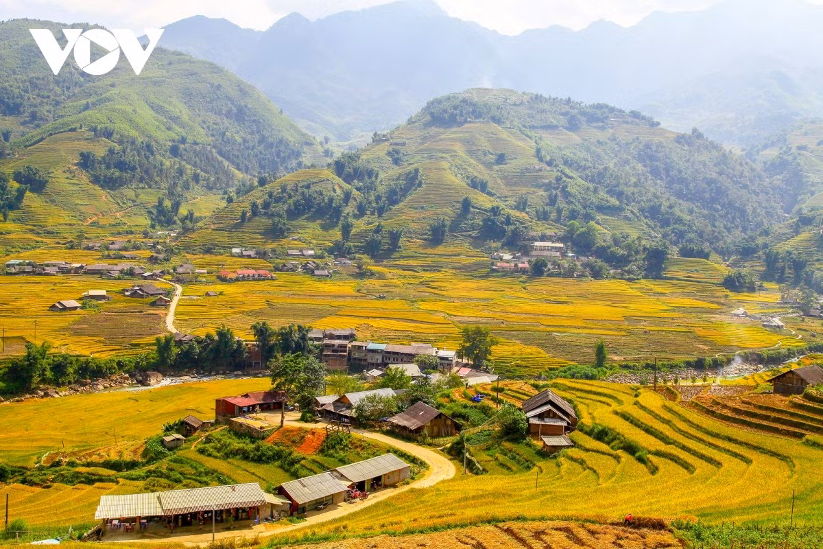 Ruộng bậc thang ở Sa Pa.