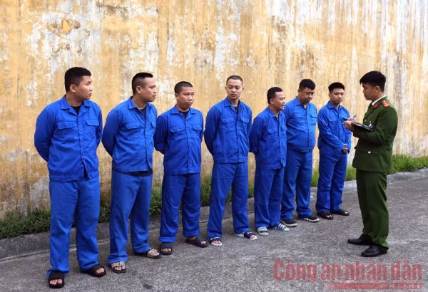 Các đối tượng trong đường dây tổ chức đánh bạc và đánh bạc dưới hình thức cá độ bóng đá trên không gian mạng.