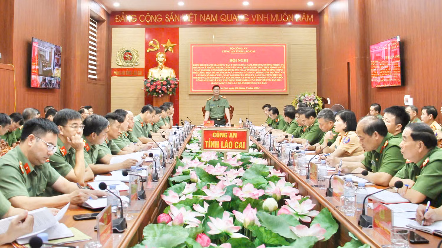 ca1.jpg