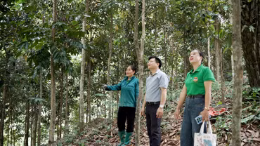 Mở thêm sinh kế trên đất Tân Lĩnh