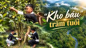 "Kho báu" trăm tuổi