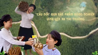 “Cầu nối” đưa sản phẩm nông nghiệp Vĩnh Yên ra thị trường