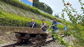Đường tàu - đường hoa