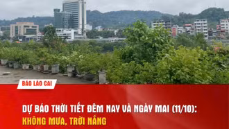 Dự báo thời tiết đêm nay và ngày mai (11/10): Không mưa, trời nắng